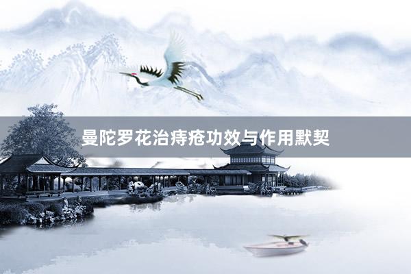 曼陀罗花治痔疮功效与作用默契