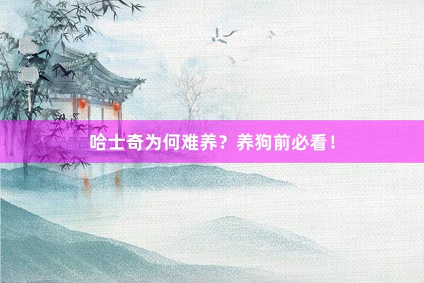 哈士奇为何难养？养狗前必看！