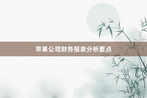 苹果公司财务报表分析要点